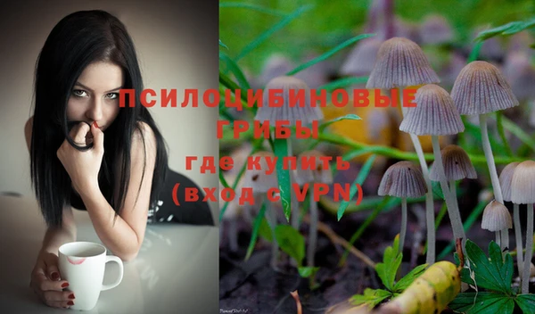 прущая мука Новодвинск