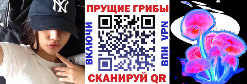 Галлюциногенные грибы Psilocybine cubensis  Яранск 